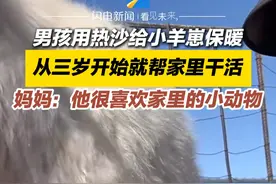 3月10日，内蒙古，男孩用热沙帮小羊崽保暖，从三岁开始帮家里干活视频封面