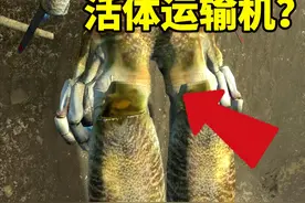 《半条命2》生物与机械结合的代表作，外观科幻的联合军运输机 #半条命 #游戏解说视频封面