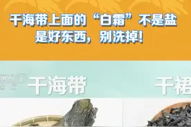 海带表面的“白霜”可不是盐哦→#科普 #三农小知识 #乡聚向未来 视频封面