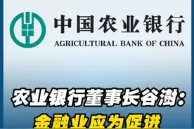 农业银行董事长谷澍：金融业应为促进新型消费贡献力量视频封面