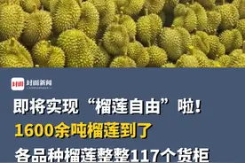 即将实现“榴莲自由”啦！1600余吨榴莲到了，各品种榴莲整整117个货柜。视频封面