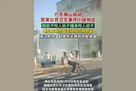 广东佛山启动突发公共卫生事件Ⅲ级响应，释放不咬人蚊子捕食咬人蚊子，基孔肯雅热暂无特效药和疫苗，浙江疾控：蚊媒传染病的风险增加。（剪辑：王京）