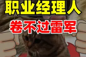 职业经理人造车卷不过雷军的 #汽车 #商业思维 #知识 #生意 #车星计划视频封面