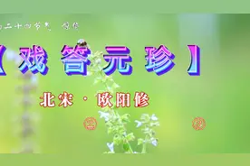 在春天里，人们产生的生机与希望是相同的。#简介 #历史