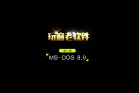 玩遍老软件.[MS-DOS 8.0] #老软件  #dos #电脑知识   #电脑技巧视频封面