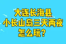 大连小长山岛怎么玩？2025大连小长山岛旅游攻略请收好！ 这个夏天总要去一次大连长海县海岛吧！大连普兰店皮口港乘船喂海鸥，入住小长山岛海边海景酒店三天两夜，吃海鲜大餐，看治愈系海景，出海钓鱼，沙滩漫步赶海，游小长山岛小水口森林公园！#旅游推荐官 #带你去看海 #治愈系风景视频封面