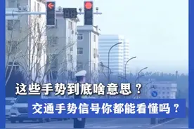 这些手势到底啥意思？交通手势信号你都能看懂吗？今天带你沉浸式体验，出行更安全！（人民日报）