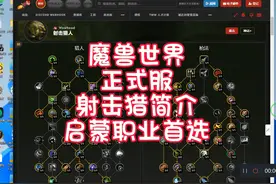 魔兽世界 正式服 射击猎简介 启蒙职业首选 #魔兽世界 #猪秀天