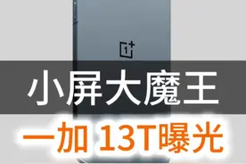 一加13T曝光，小米15与iPhone16e终结者？ 6200毫安时大电池、6.3英寸小直屏、骁龙8e芯片、续航水平叹为观止，新一代性能小钢炮？#一加13t #一加13 #小米15 #iPhone16e #一加13mini