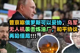 普京称俄罗斯可以妥协，乌军无人机袭击炼油厂，和平协议再陷僵局视频封面