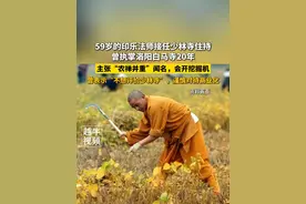 59岁的印乐法师接任少林寺住持，曾执掌洛阳白马寺20年，主张“农禅并重”闻名，会开挖掘机，曾表示“不想评价少林寺”，谨慎对待商业化#振兴乡村 #寺庙 #出家人