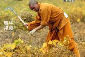 59岁的印乐法师接任少林寺住持，曾执掌洛阳白马寺20年，主张“农禅并重”闻名，会开挖掘机，曾表示“不想评价少林寺”，谨慎对待商业化#振兴乡村 #寺庙 #出家人