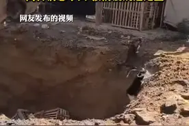 拦截的900只猫被活埋？佛山三水区农业农村局：网传消息不实，按防疫规定处置视频封面