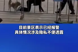 哗众取宠！深圳一女子和狗同拴一根绳边爬边学狗叫，警方回应：将调查处理#女子和狗同拴一绳跪地爬行 #深圳一女子和狗同拴一根绳跪地爬行 #深圳 @抖音短视频 @DOU+小助手 视频封面