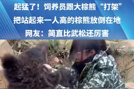 起猛了！饲养员跟大棕熊“打架”，把站起来一人高的棕熊放倒在地！网友：简直比武松还厉害（来源：@每一天笑嘻嘻） #熊 #熊出没 #意不意外 #社会百态 #万万没想到视频封面