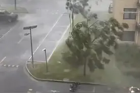 俄罗斯强震引发全球多地海啸！海啸预计7月30日18:04抵达浙江沿海！预计对我国上海、浙江舟山南部、台湾东部等沿岸造成一定影响。#海啸  #台风竹节草