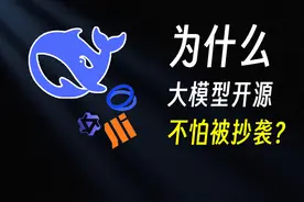 OpenAI闭源策略失误，而DeepSeek开源高明在哪? BGM:
Fallen Down视频封面