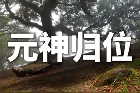 元神归位那一刻，治好了我的精神内耗。