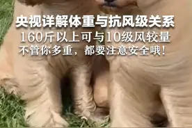 央视详解体重与抗风级关系 160斤以上可与10级风较量 不管你多重，都要注意安全哦！
