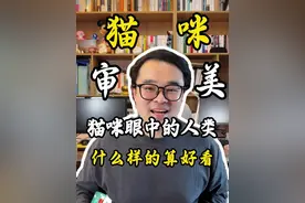 猫咪眼中的人，怎么样的才算好看？ #猫咪 #猫咪的迷惑行为 #科学养宠攻略 #萌宠出道计划 #新手养猫