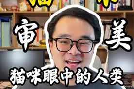 猫咪眼中的人，怎么样的才算好看？ #猫咪 #猫咪的迷惑行为 #科学养宠攻略 #萌宠出道计划 #新手养猫