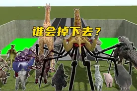 疯狂动物园跨绿河比赛：河马被吓到腿发抖，它能成功通关吗？视频封面