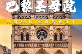 只需30秒，你竟然修复了巴黎圣母院 #涨知识 #科普 #巴黎圣母院 #巴黎圣母院修复视频封面