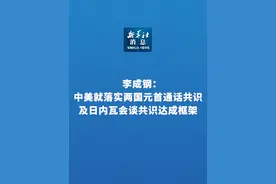 新华社消息｜李成钢：中美就落实两国元首通话共识及日内瓦会谈共识达成框架视频封面
