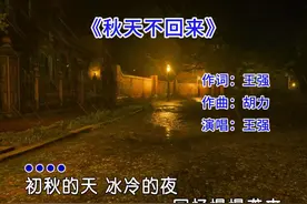 王强 《秋天不回来》黑胶完整版，这首曾风靡大街小巷的歌曲视频封面
