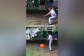 树上掉落近2米大蛇 吓坏打牌阿姨 “硬核”大爷徒手抓蛇一顿抡摔 专家：系黑眉锦蛇 无毒 抡摔容易致蛇死亡