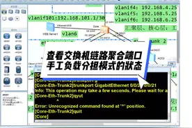 查看交换机链路聚合端口手工负载分担模式的状态 #干货分享