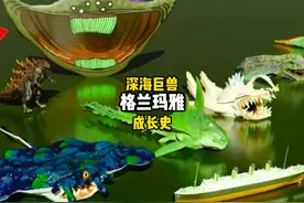 深海巨兽格兰玛雅成长史 深海巨兽格兰玛雅成长史视频封面