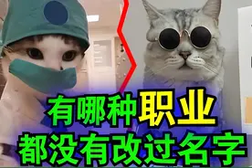 有没有什么职业从古到今都没有改过名字的？ #爆笑 #职业 #沙雕视频封面