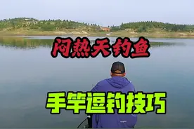闷热天钓鱼出新招！手竿逗钓技巧大公开，让钓鱼不再枯燥