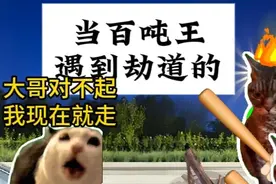 当百吨王遇到劫道的 #内容过于真实  #万万没想到  #猫meme视频封面
