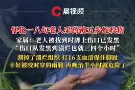 怀化一八旬老人采药被五步蛇咬伤，打16支血清脱险！家属：伤口从发黑到渍烂也就三四个小时#怀化 #五步蛇