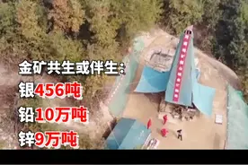 河南桐柏发现特大金矿！当前估算金储量31.55吨
视频封面