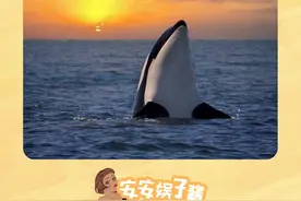 鲸鱼跃出海面的瞬间，深海恐惧症要犯了 #蓝鲸 #冷知识 #神奇动物在抖音 #震撼 #动物视频封面