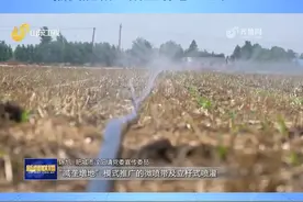 山东电视台《山东新闻联播》播出【三夏一线】山东5500万亩玉米播种完成！点赞肥城“减垄增地”经验！#三农 #现代农业机械 视频封面