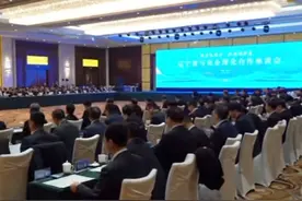 国家电投集团与辽宁开启央地协同发展新篇视频封面