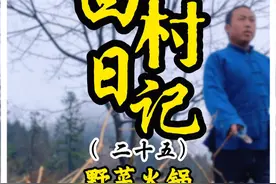 山上的野菜也太多了，好吃到停不下来，满满都是春天的味道。 #记录真实生活 #农村生活 #我的乡村生活 #农村美食 #做一道春天的美味视频封面