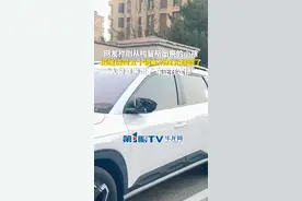 2月27日，河北。网友称刚从拘留所出来的小孩，把路边四五十辆车的反光镜砸了。“人警察带走了，车正在定损”。（第1眼TV-华龙网原创采访报道）来源：@LXY-视频封面