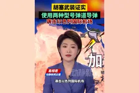 胡塞武装证实，使用两种型号弹道导弹袭击以色列国际机场