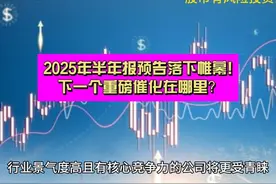 上半年业绩预告落下帷幕 下一个重要催化倒计时！