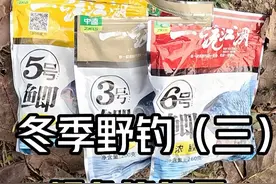 用这个配方冬天钓鲫鱼，鲤鱼却连杆了。 @中逵创始人 #安哥拉红带火了中逵 #中逵小师达 #冬天钓鲫鱼有多爽 #2024dou来钓鱼视频封面