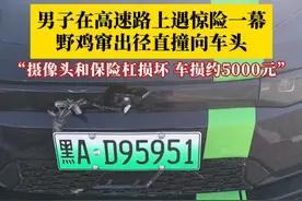 男子在高速路上遇惊险一幕，一只野鸡突然窜出径直撞向车头。当事人：车的摄像头和保险杠被撞坏，车损约5000元。你在高速路上遇到过动物吗？（来源：@嘉聪爱玩车 ）#野鸡 #高速行车安全 #高速惊险一幕视频封面
