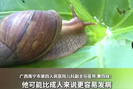 在广西南宁，随着雨水增多，一些路边、草丛和荷塘里陆续出现非洲大蜗牛和福寿螺，医生提醒千万不要随意触摸。非洲大蜗牛是我国首批16种外来入侵物种之一，环境适应和繁殖能力都非常强，可危害500多种作物。非洲大蜗牛是很多人畜寄生虫和病原菌的中间宿主，会传播结核病和嗜酸性脑膜炎，严重的还会危及生命。（央视财经）