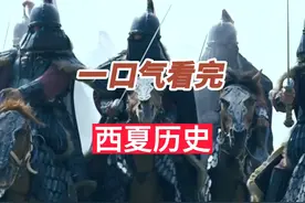 一口气看完西夏王朝189年历史 #历史 #西夏 #西夏历史 #李元昊