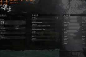 黑神话悟空4080显卡4K光追性能测试画质表现 #游戏内容风向标视频封面