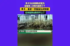 6月17日 发布，河南郑州：男子700块网购买鸵鸟运输第二天鸵鸟就死了？男子：商家一开始说让问快递，后来就再也联系不上#媒体精选计划